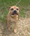 Billie Jean (Goldilocks) - Photo 2