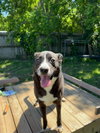 Iola - Photo 2