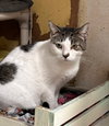 Shelly - Photo 2