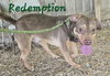 Redemption - Photo 2
