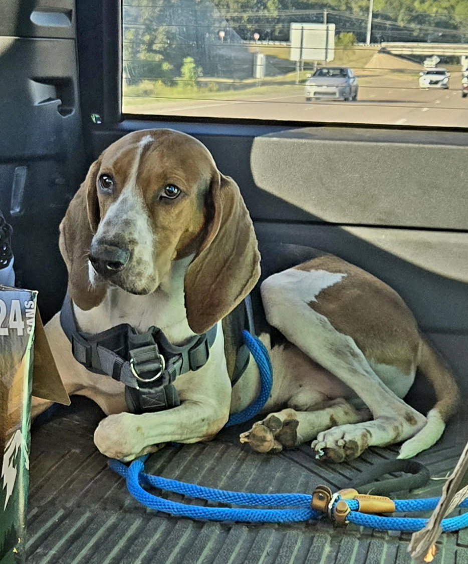 Jethro, photo 2