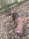 Gladys - Photo 2