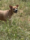 Faith (Baby Mama) - Photo 1