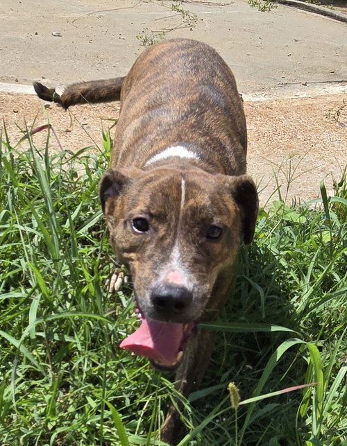 KENNY MCCORMIC - Unknown available for adoption