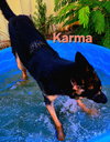 Karma - Photo 4