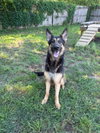 Karma - Photo 1