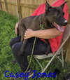 Casey Jones - Photo 2