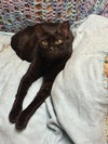 Webster - Photo 2