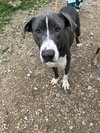 Jenny - Photo 2