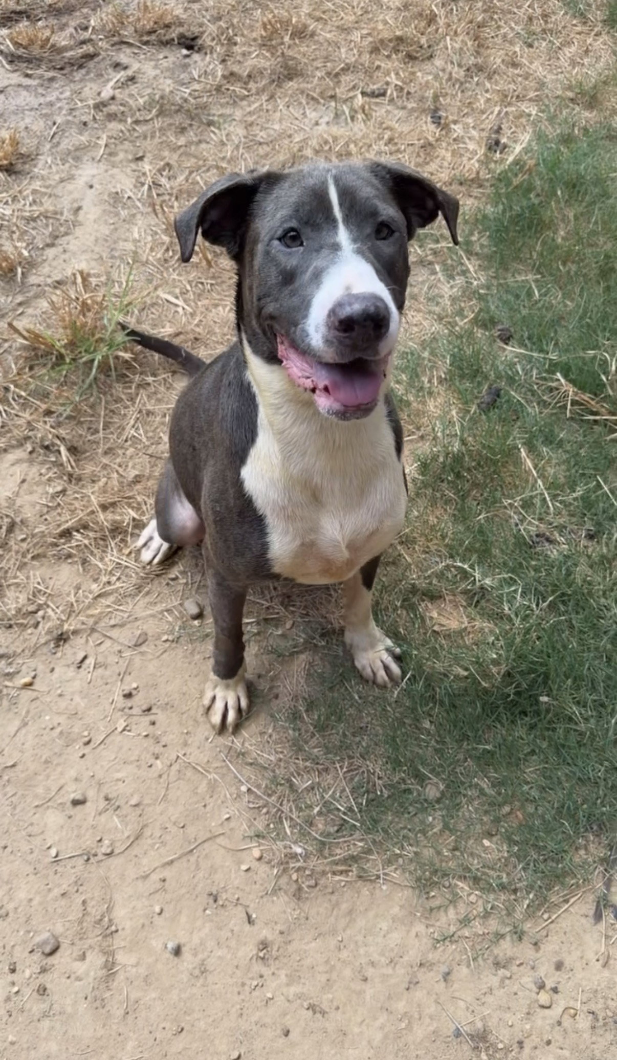 Jenny, photo 2