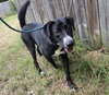 Freddy - Photo 1