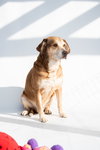 Clyde - Photo 4