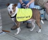 Rosco - Photo 4