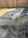 Saturday - Photo 2