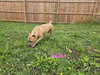 Sadie - Photo 1
