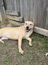 Juan Valdez - Photo 2