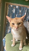 Bumpkin - Photo 1