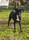 Lucky - Photo 2