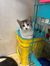 Stitch - Photo 2