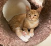 Wanda - Photo 2