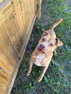 Carter - Photo 1