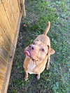 Carter - Photo 2
