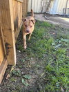 Carter - Photo 3