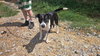 Mildred - Photo 2