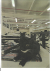 Jack - Photo 2