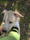 Clyde - Photo 2