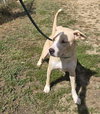 Clyde - Photo 4