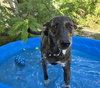 Sansa - Photo 1