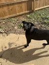 Olivia - Photo 2
