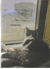 adoptable Cat in , MS named Webster