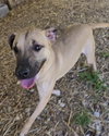 Keone - Photo 1