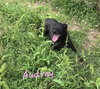 Audrey - Photo 1