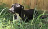 Skeeter - Photo 2