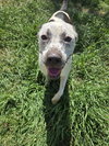 Ripley - Photo 2