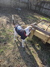 Warren - Photo 4