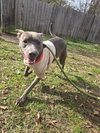 Walthall - Photo 1