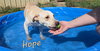 Hope - Photo 3