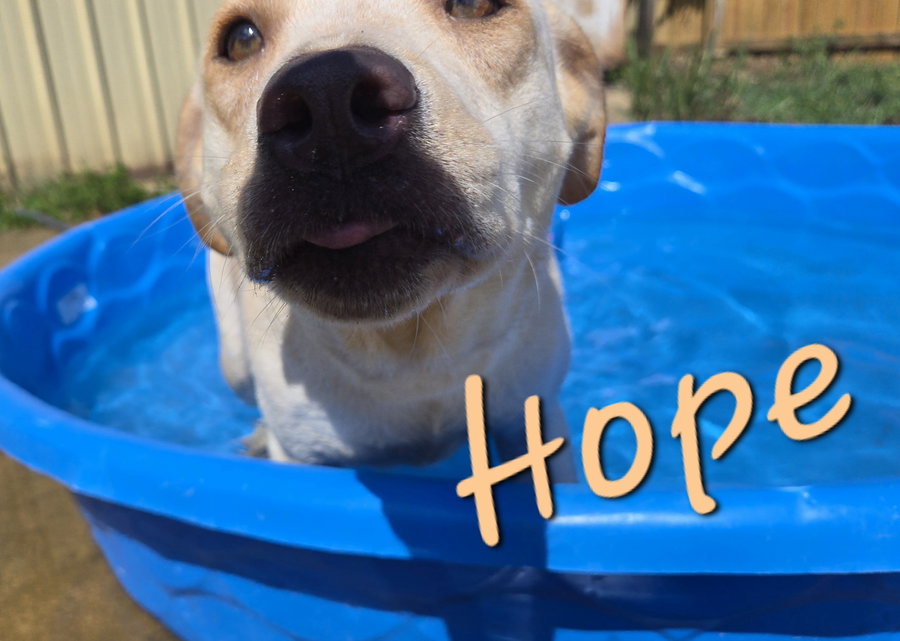 Hope