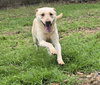 Hope - Photo 1
