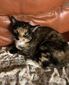 Stormy - Photo 1
