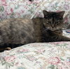 Maggie - Photo 2