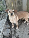 Shirley - Photo 1
