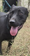 Augustus - Photo 4