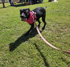 Augustus - Photo 1