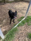 Wiggly - Photo 3