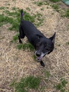 Wiggly - Photo 1